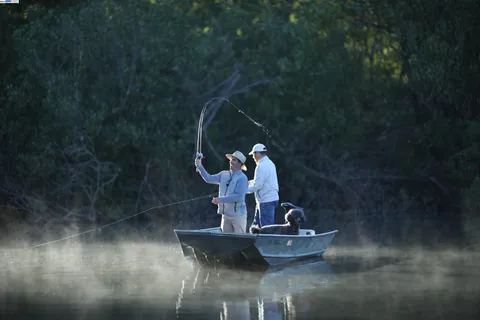 a room with furniture and garden