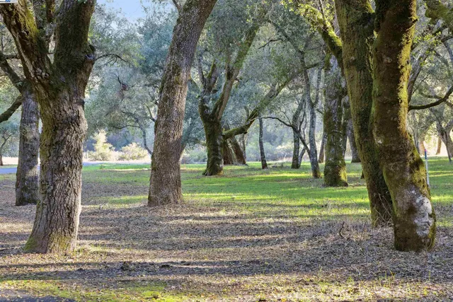 a view of a house in the forest