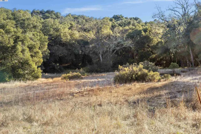 a view of a yard with a tree
