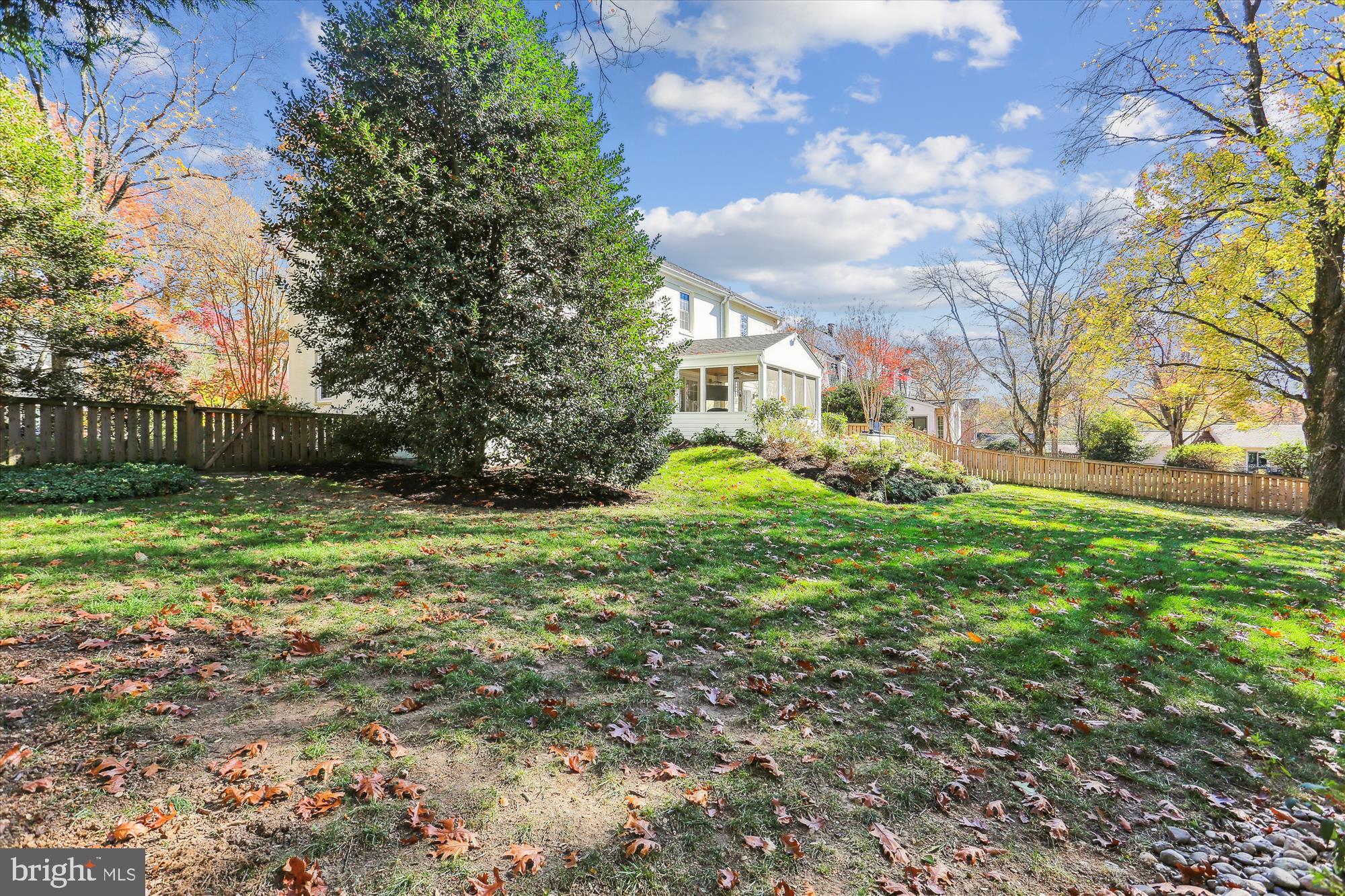 604 Aster Boulevard Rockville, MD 20850 - Photo 42 of 91 Back Yard