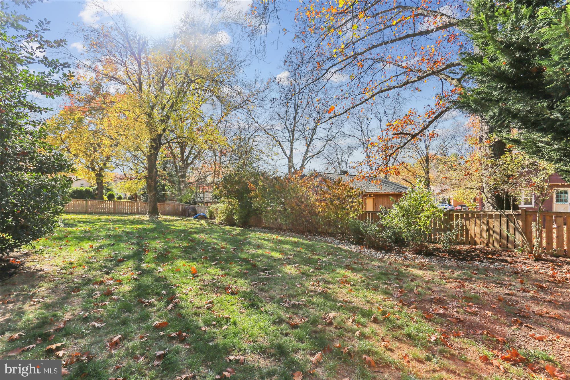 604 Aster Boulevard Rockville, MD 20850 - Photo 45 of 91 Back Yard