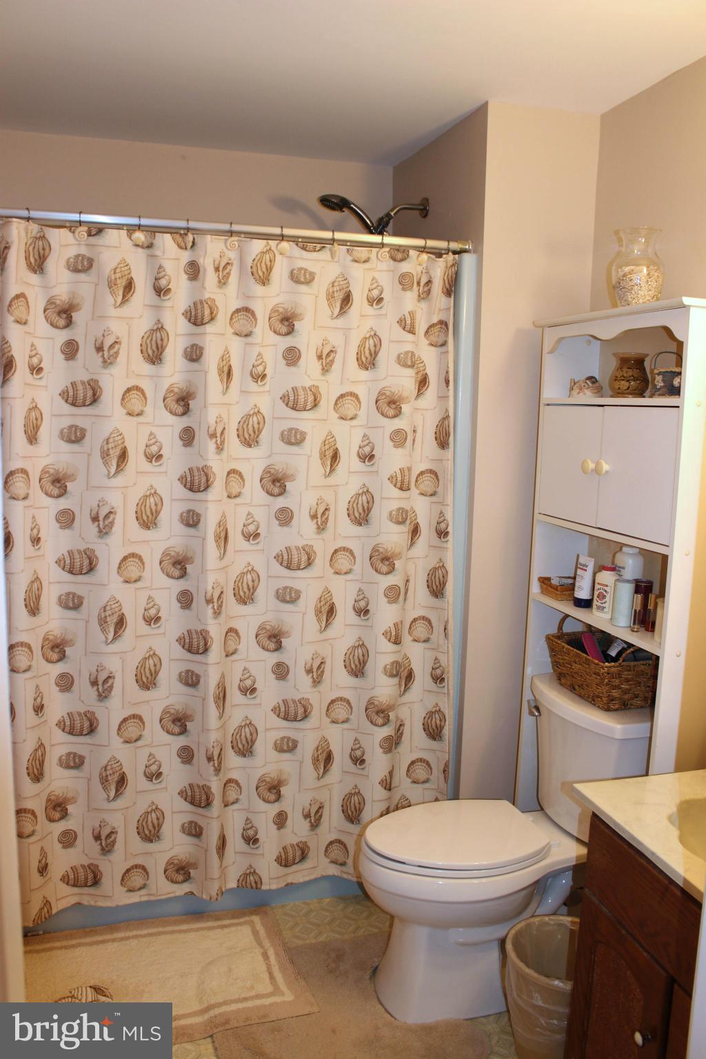9007 Throgmorton Road Baltimore, MD 21234 - Photo 22 of 30 Bath (Master)