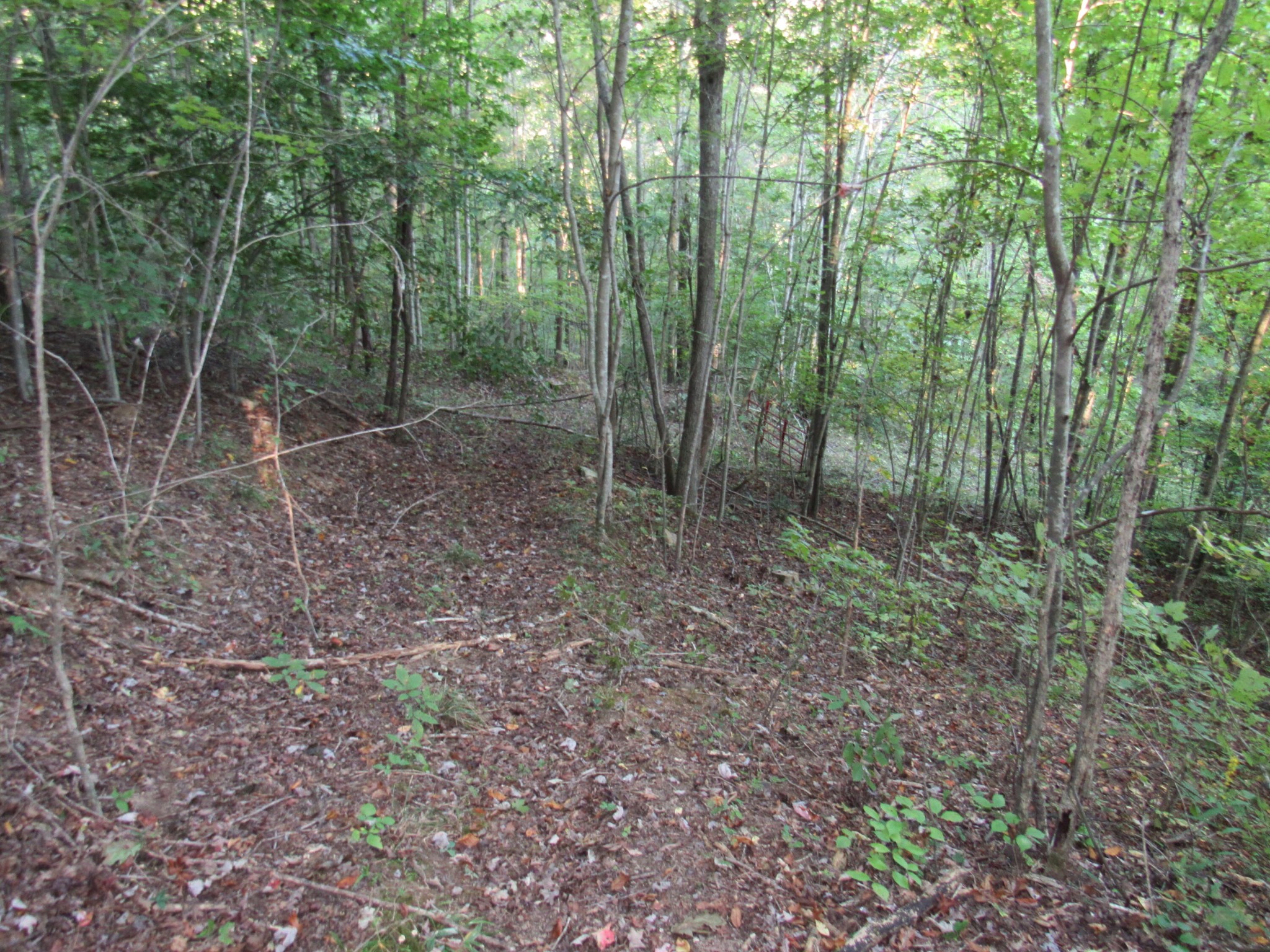0 45 Ac Lawson Road Huntsville, TN 37756 - Photo 19 of 25 Gallery Image 19
