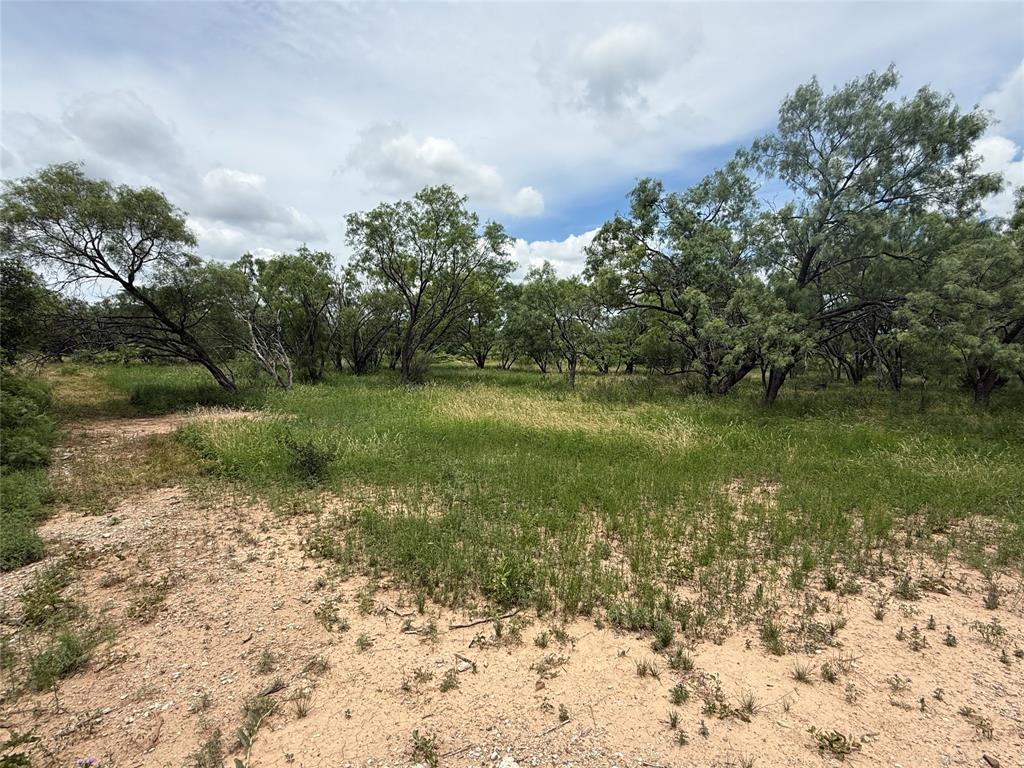 Tbd Coppic Ranch Road Brownwood, TX 76801 - Photo 5 of 13