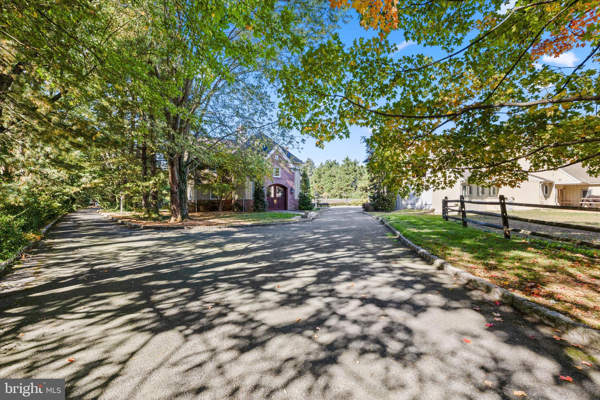 27473 Westpoint Road Easton, MD 21601 - Photo 34 of 58 a view of road with large trees