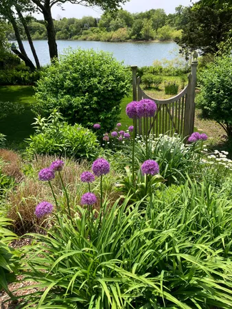 a small garden covered with lots of flower and trees