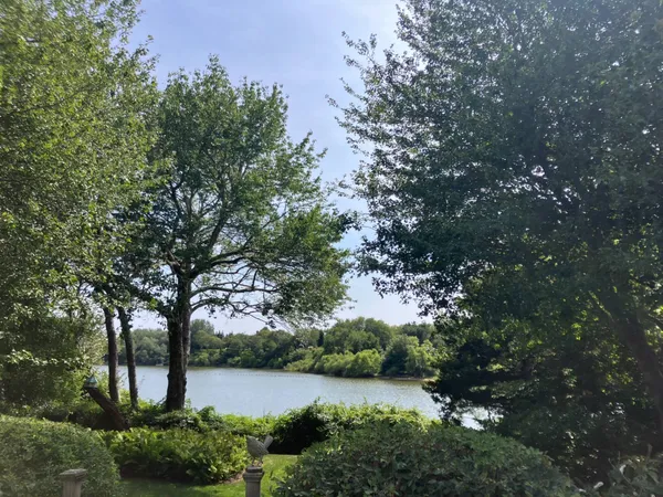 a view of a garden with plants and trees