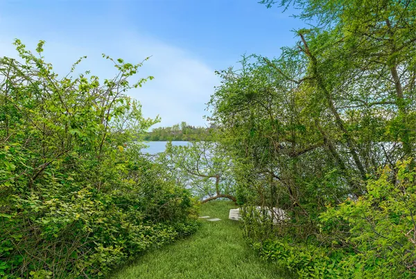 a view of a garden with plants