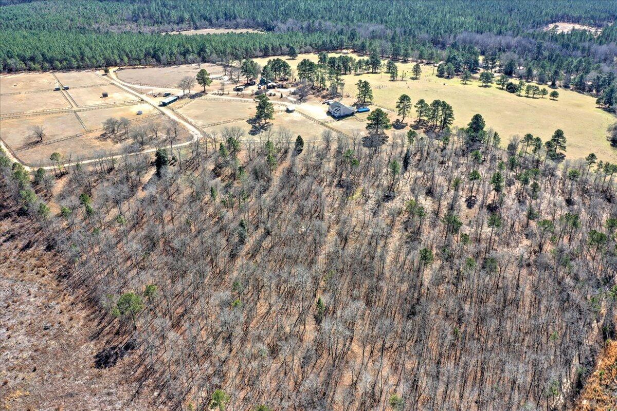 273 Risen Star Lane Aiken, SC 29805 - Photo 11 of 62