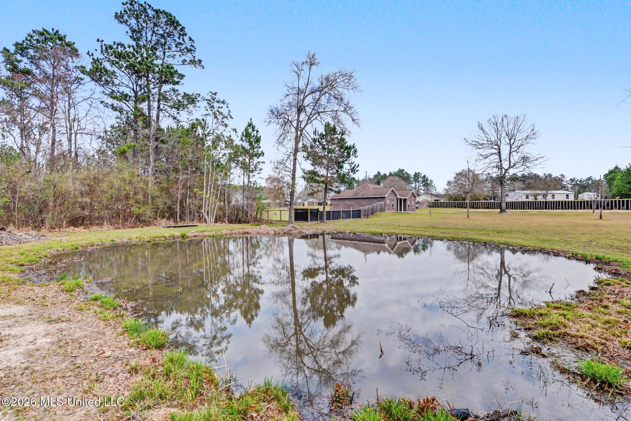 18 Jub Hickman Road Perkinston, MS 39573 - Photo 20 of 22 Pond