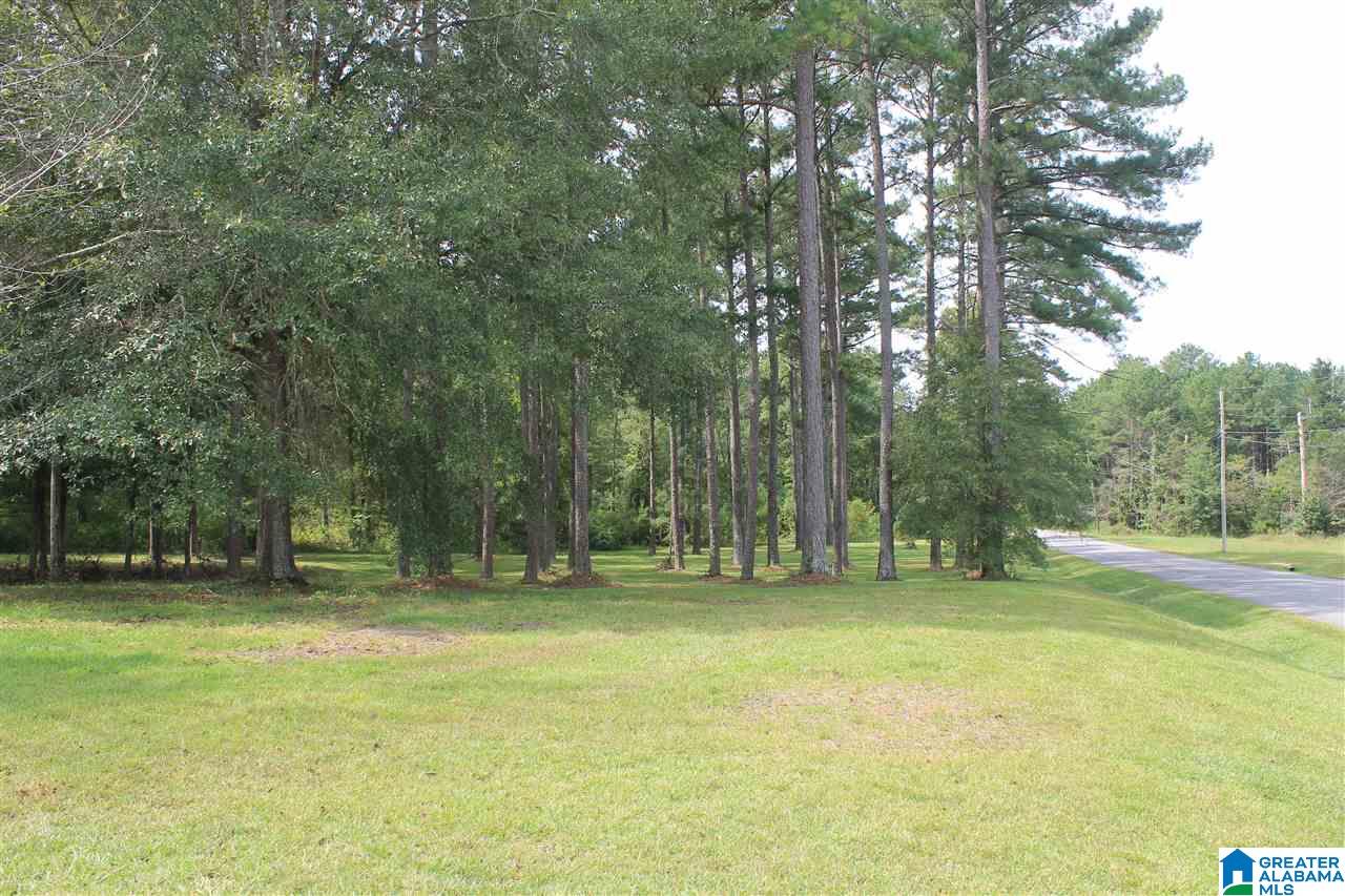 412 Lovejoy Road Ashville, AL 35953 - Photo 19 of 23