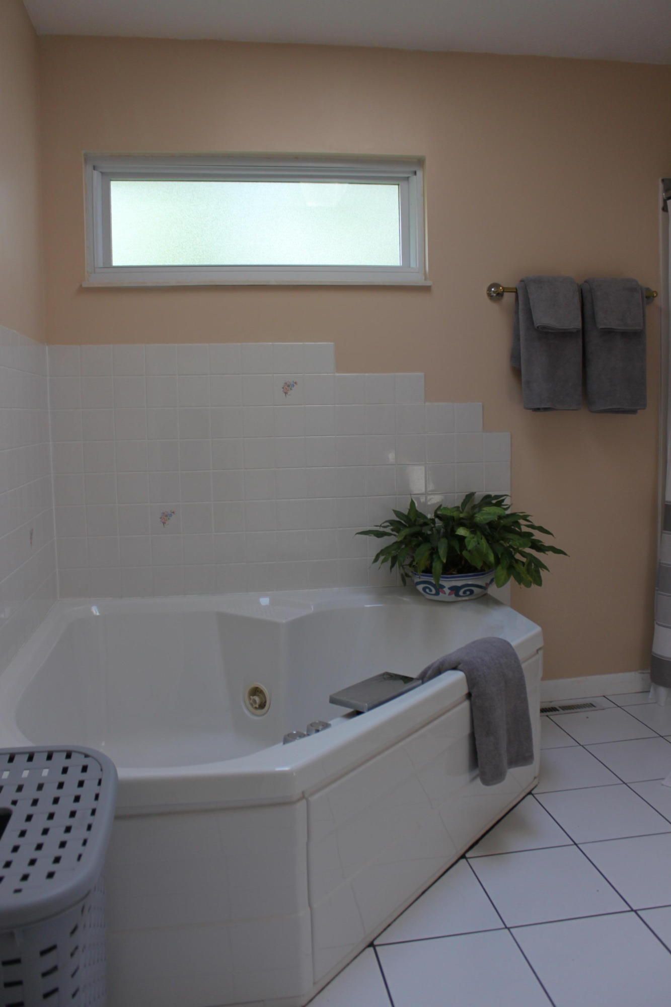 109 Culver Road Oak Ridge, TN 37830 - Photo 22 of 33 Soak your cares away