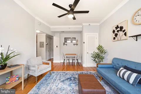 a living room with furniture or couch and a potted plant