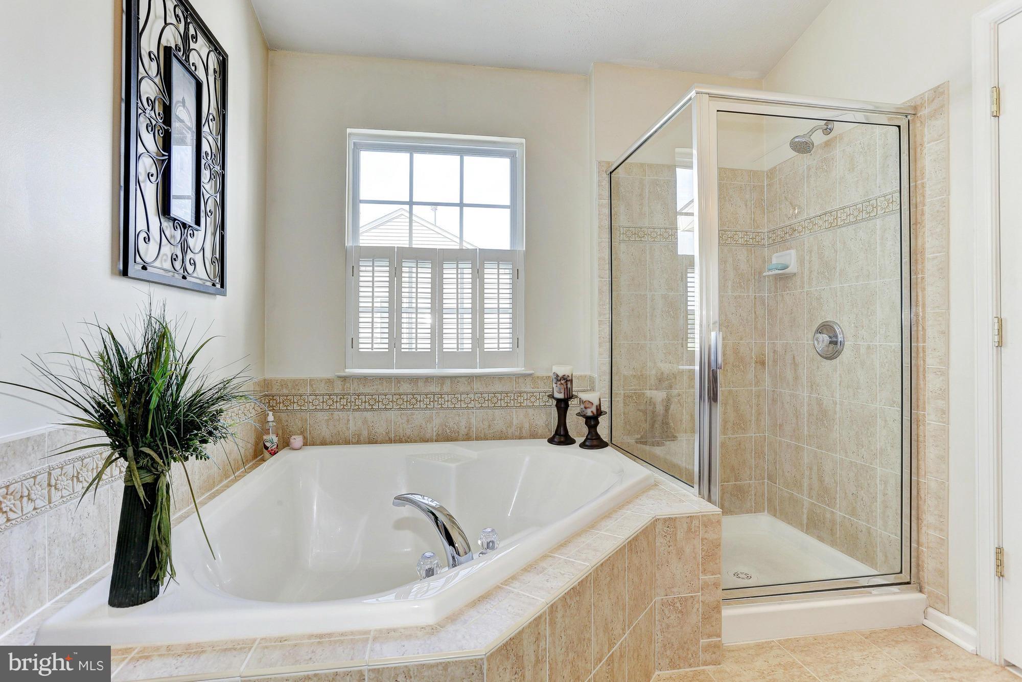 9732 Selfridge Road Middle River, MD 21220 - Photo 14 of 21 Glamorous Master Bath