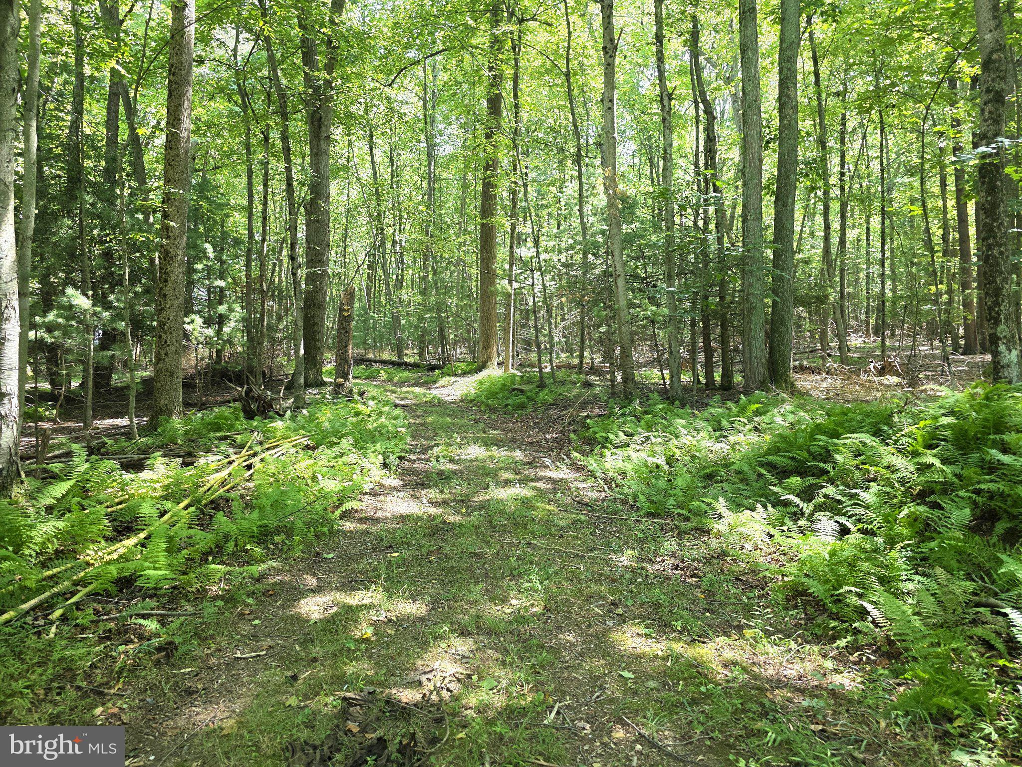 1178 Church Road Orrtanna, PA 17353 - Photo 66 of 77 Gallery Image 66