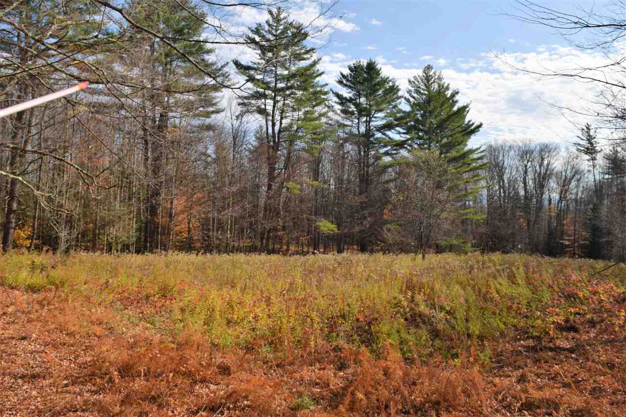 Lot 18 Tobyne Road Lunenburg, VT 05906 - Photo 3 of 6