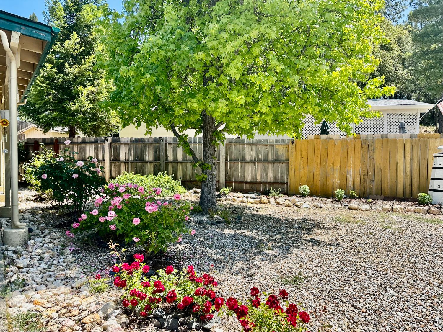 340 Tom Bell Road Murphys, CA 95247 - Photo 38 of 46