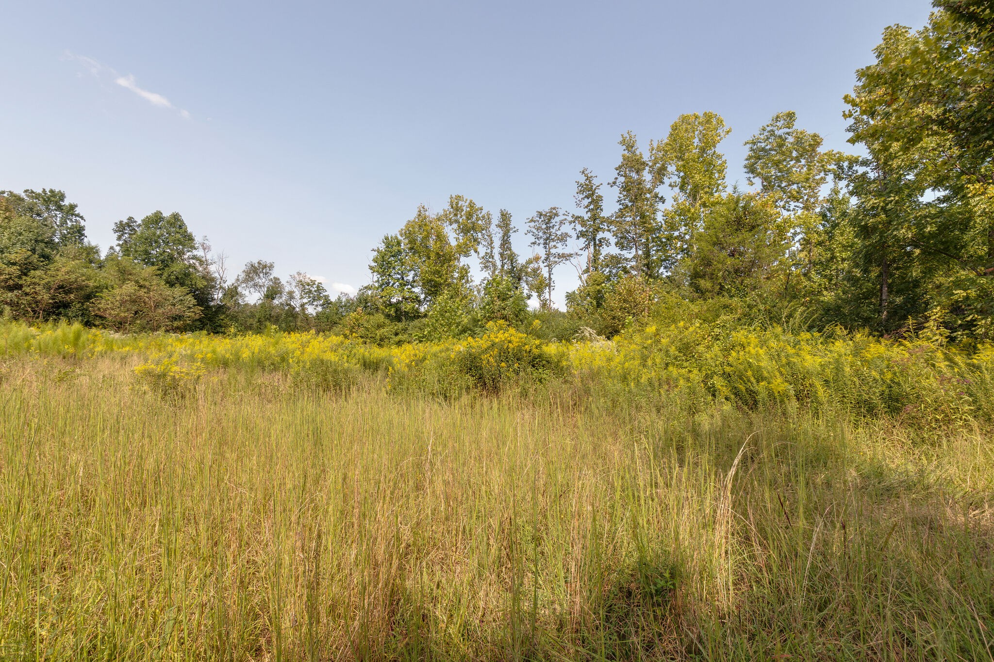 52 North King Road Flintville, TN 37335 - Photo 23 of 25 Gallery Image 23