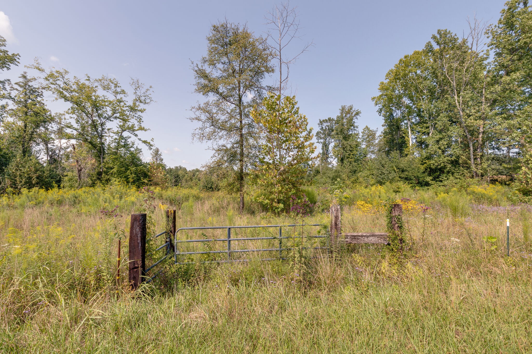 52 North King Road Flintville, TN 37335 - Photo 24 of 25 Gallery Image 24