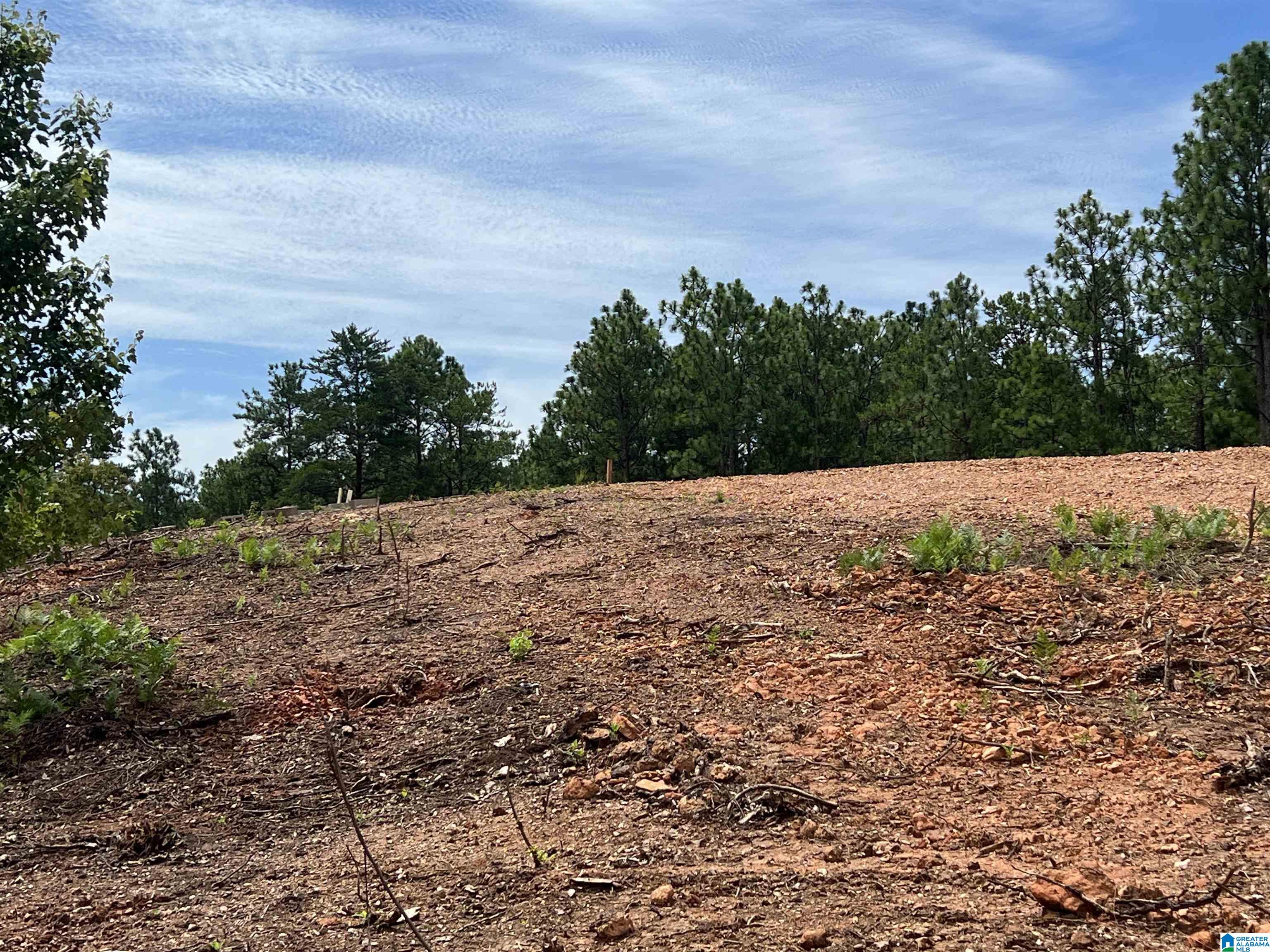 0 County Road 188 Clanton, AL 35046 - Photo 11 of 20