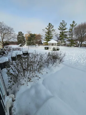 a view of a large yard with plants and trees