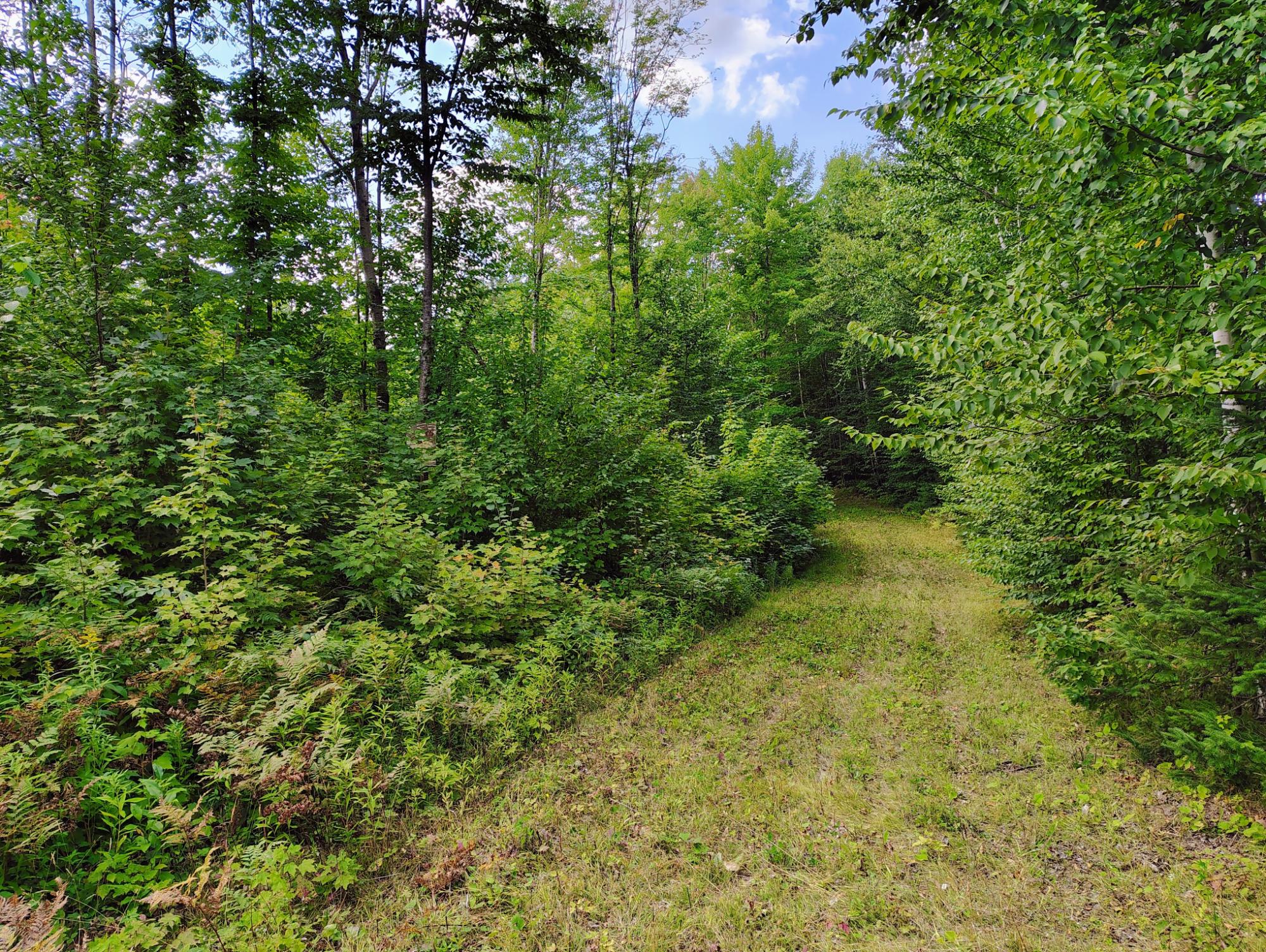 On Long Lake Road, Unit 159 93 AC Mellen, WI 54546 - Photo 29 of 35 Gallery Image 29