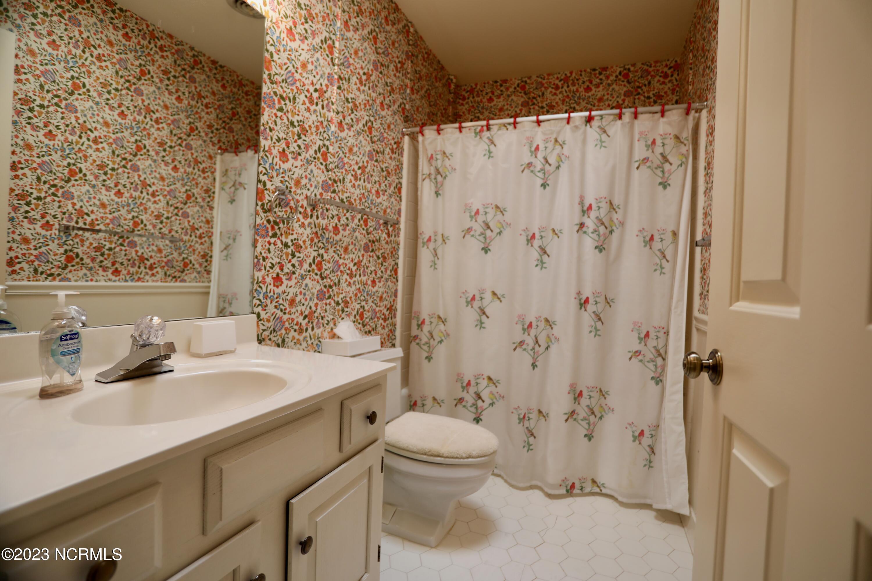 269 Warrior Woods Road Carthage, NC 28327 - Photo 18 of 38 Hall Guest Bath