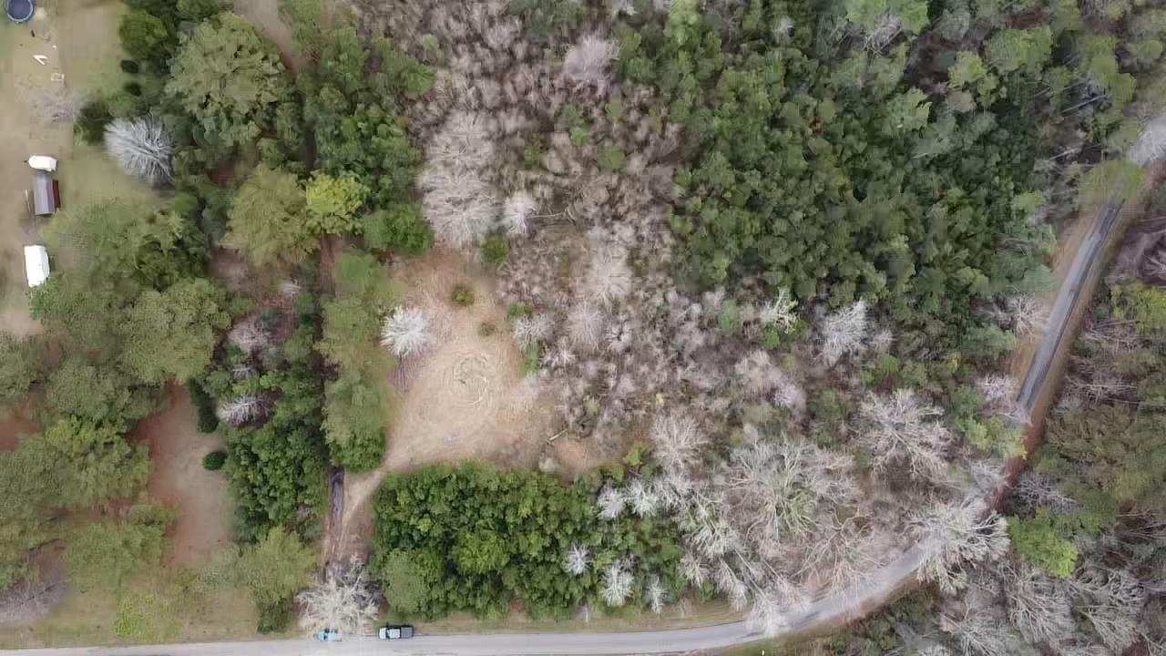 Scottish Lane Bay Minette, AL 36507 - Photo 20 of 25