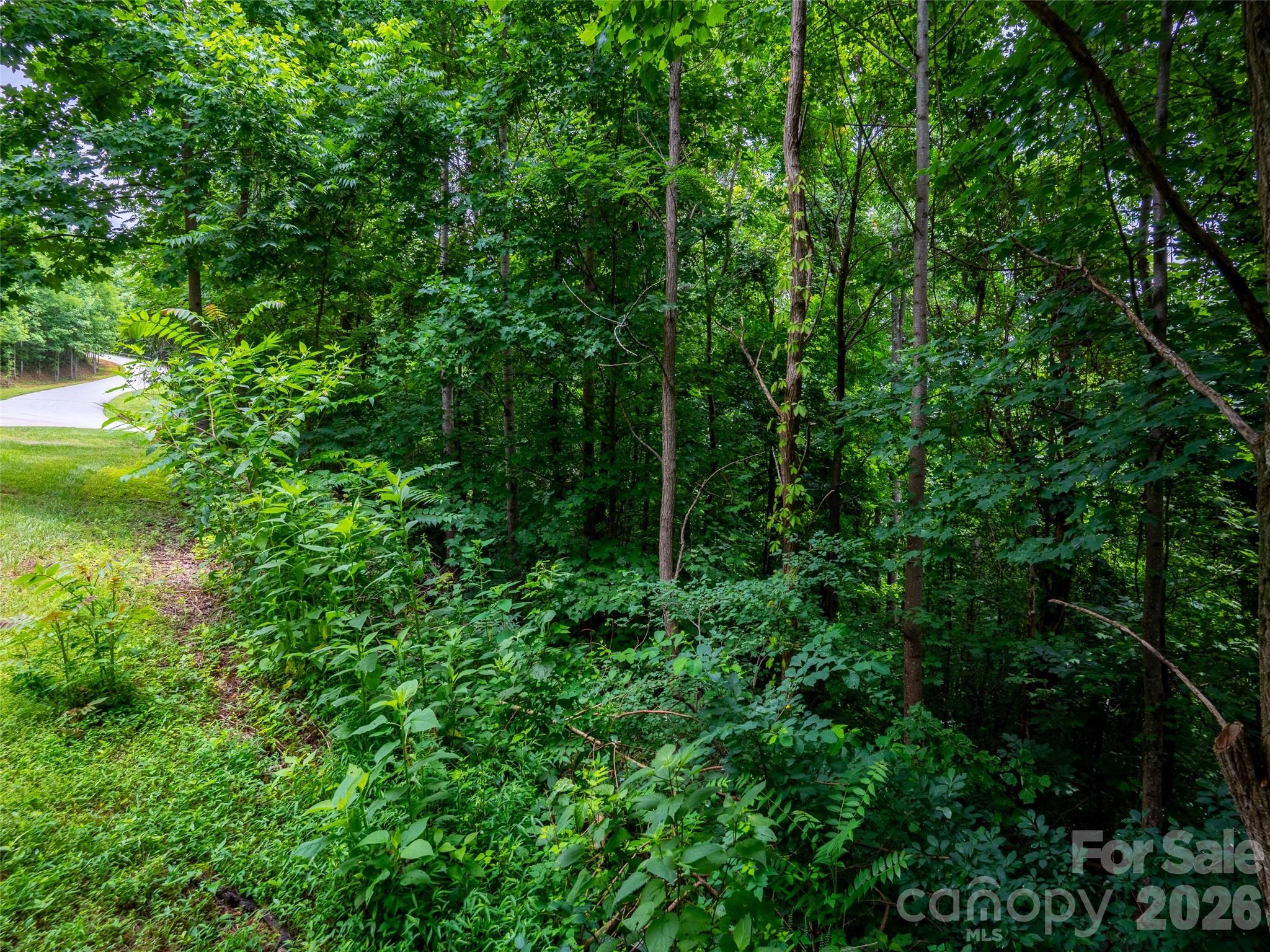 236 Nottingham Dr Mill Spring Mill Spring, NC 28756 - Photo 7 of 19