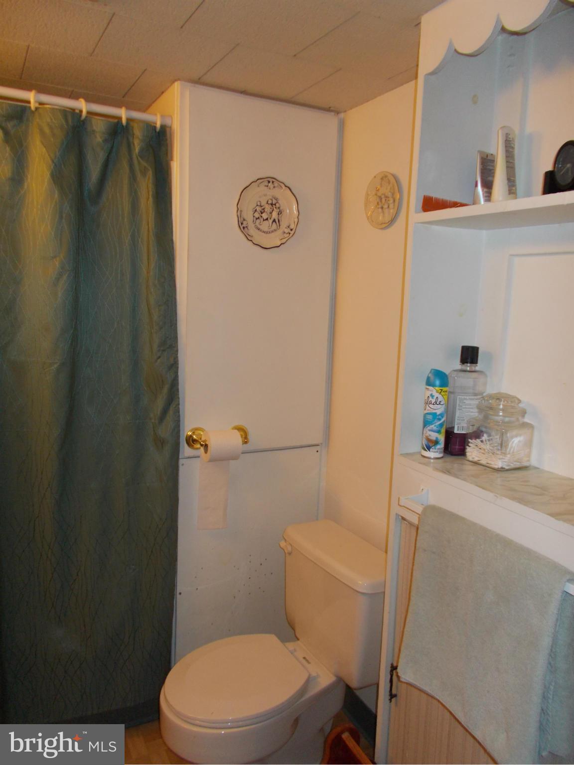 24850 Pen Mar Road Cascade, MD 21719 - Photo 22 of 27 a bathroom with a toilet and a shower curtain