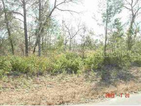 54 Southwest Ct Road Ocala, FL 34473 - Photo 1 of 1 Primary Photo