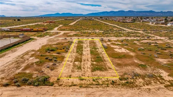 a close up of a snow on the wall