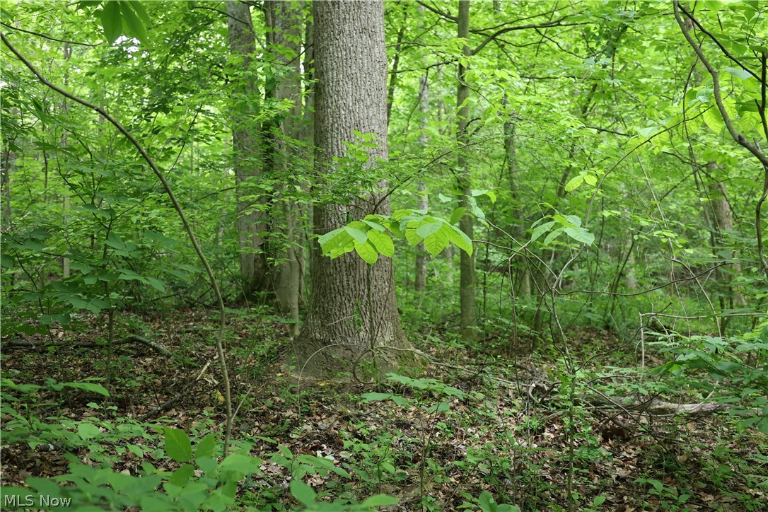 61342 High Hill Road Cambridge, OH 43725 - Photo 24 of 37