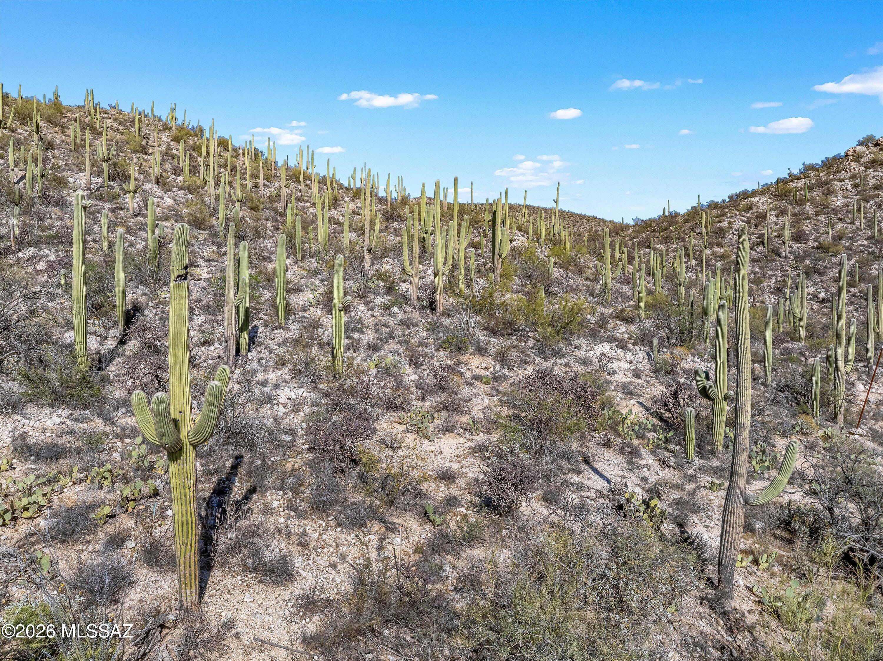 13716 Placita Del Inca, Unit 8 Tucson, AZ 85749 - Photo 28 of 37