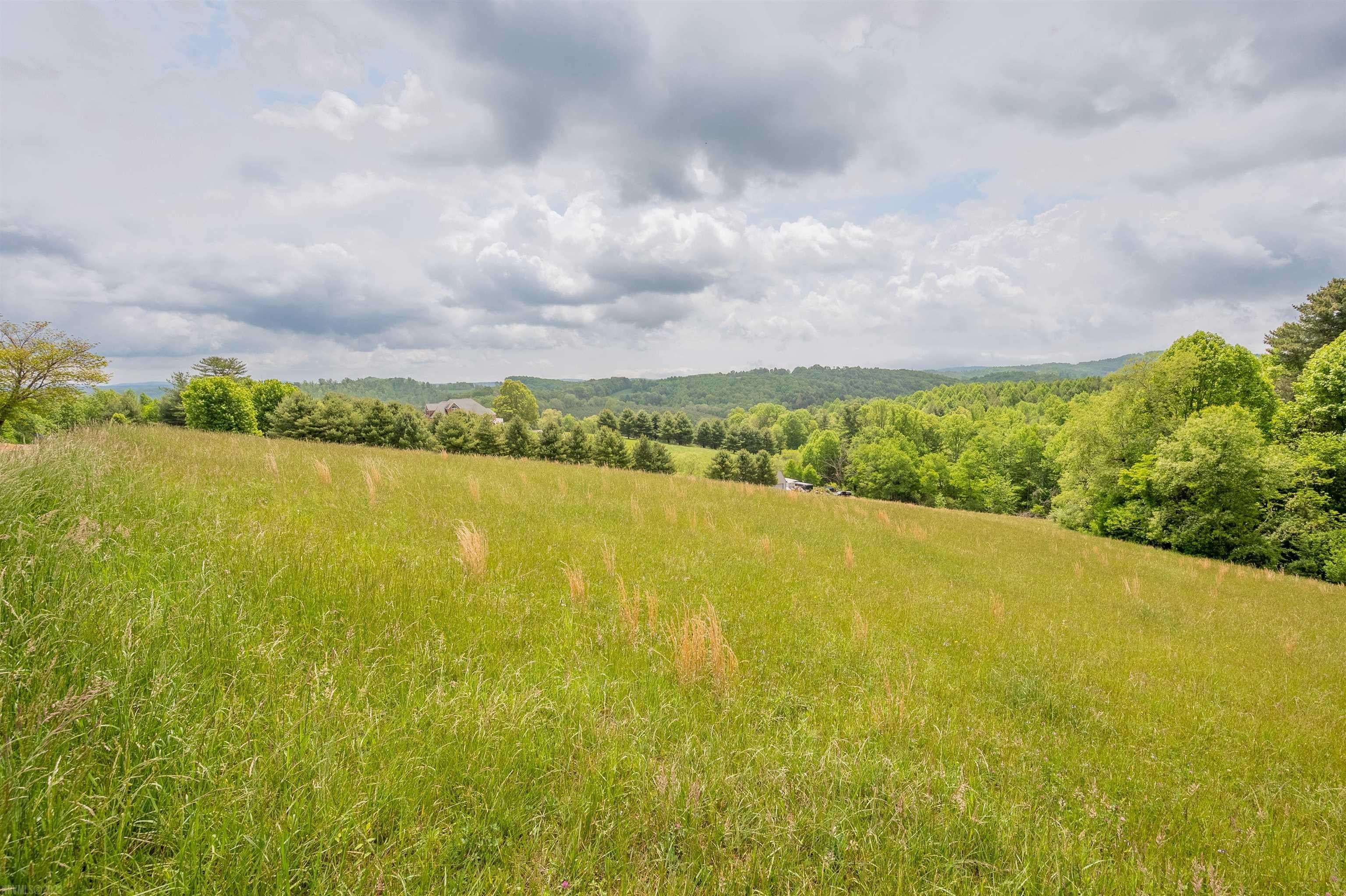 Tbd South Tbd S Whispering Ridge Road South Hillsville, VA 24343 - Photo 3 of 28 Gallery Image 3