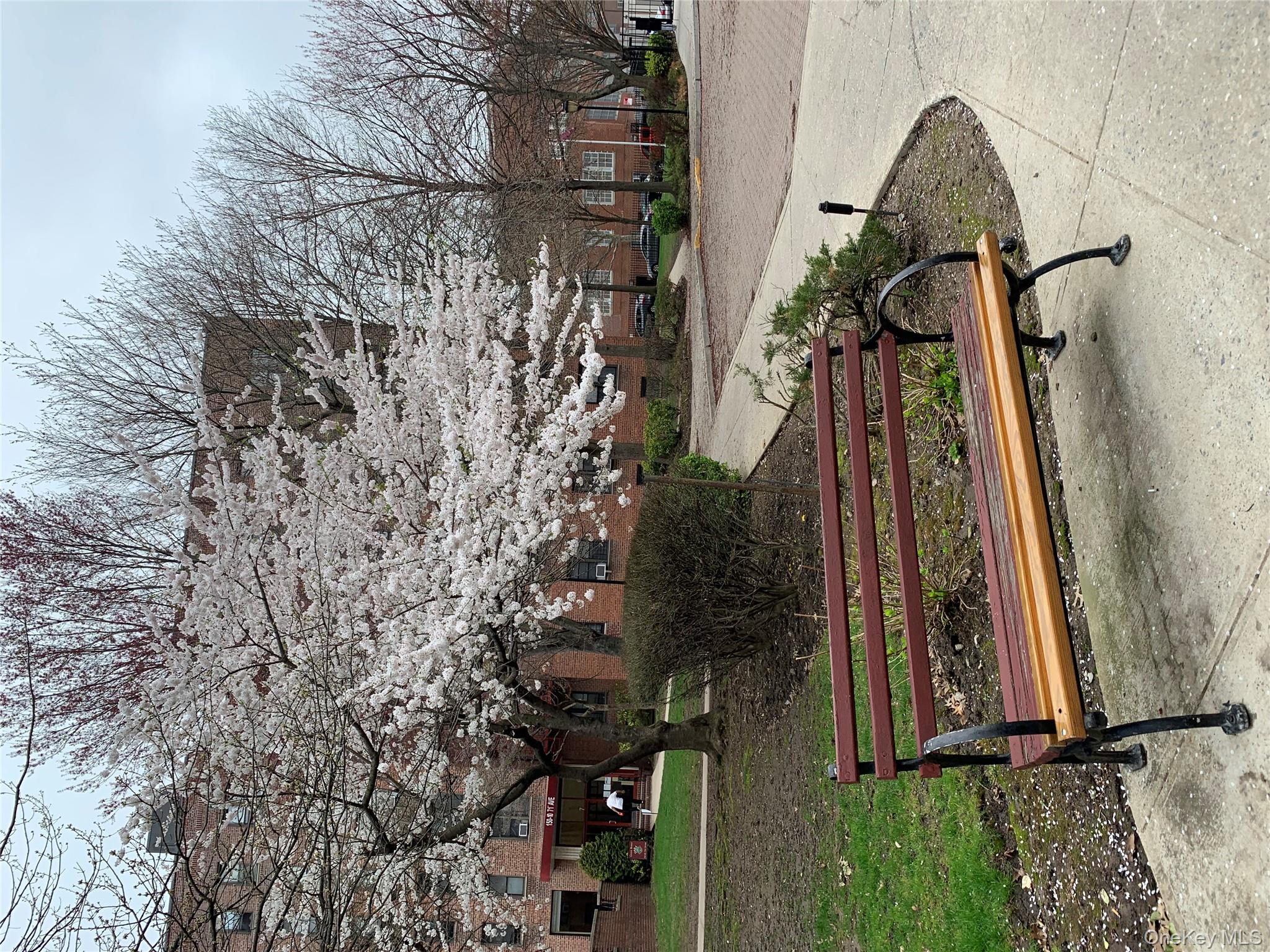 150-25 72nd Road, Unit 1J Queens, NY 11367 - Photo 3 of 14 a view of backyard with seating space and trees