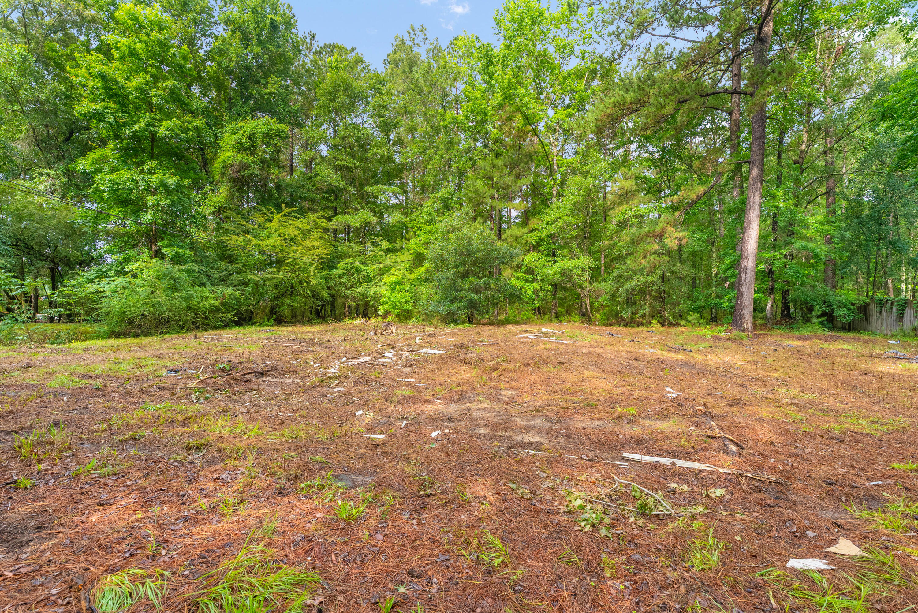 124 Maple Street Ridgeville, SC 29472 - Photo 10 of 12