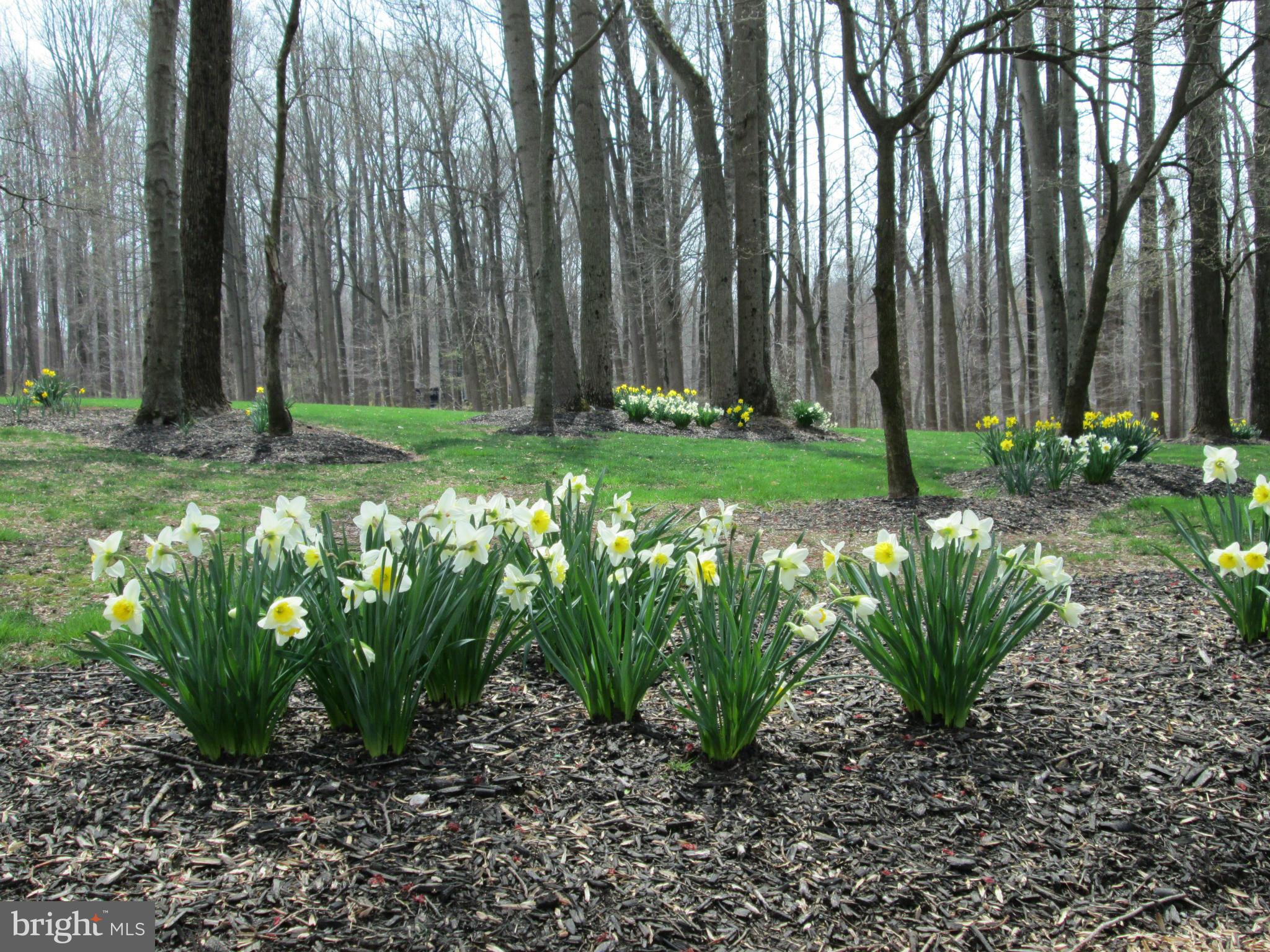 5 Wetherbee Court Phoenix, MD 21131 - Photo 25 of 29 a view of a garden with a chair
