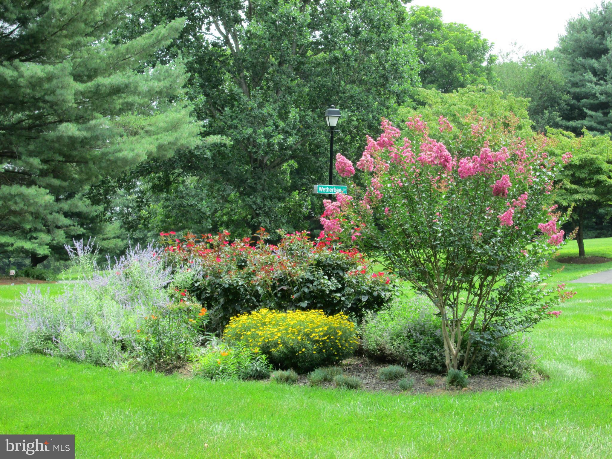 5 Wetherbee Court Phoenix, MD 21131 - Photo 4 of 29 a view of a flower in a garden of a house