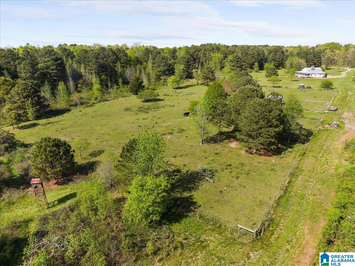 2362 Jones Chapel Road Springville, AL 35146 - Photo 31 of 38 Gallery Image 31