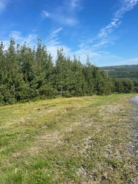 Lot 18 Cross Road Madawaska, ME 04756 - Photo 4 of 10 thumbnail_IMG_7068