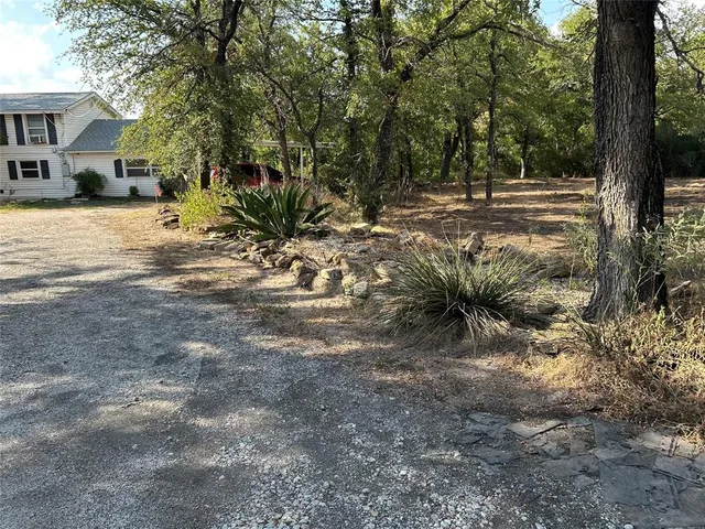 a view of a yard with plants and trees