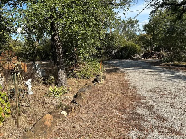 a view of backyard with tree