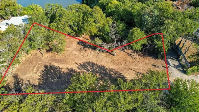 a view of a yard with plants and flowers