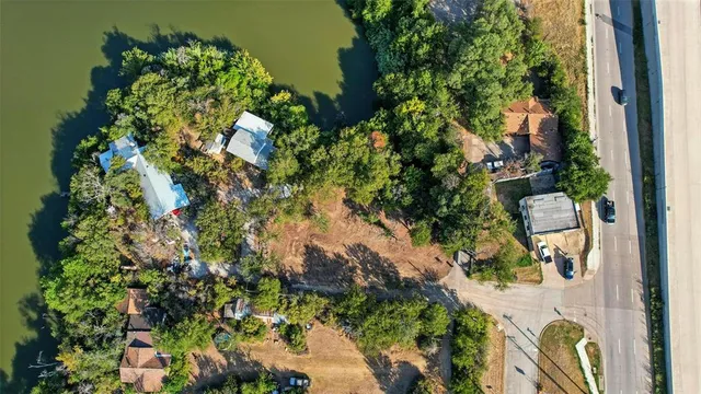 view of a tree with lots of plants