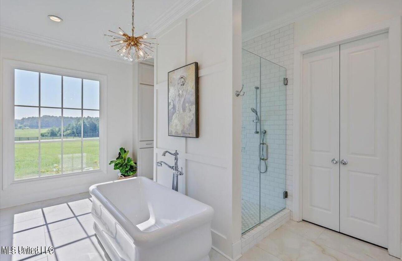 104 Two Lakes Drive Madison, MS 39110 - Photo 31 of 69 IMG_5564