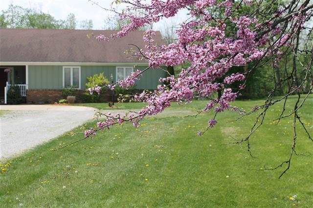 7234 Hosler Road Leo, IN 46765 - Photo 1 of 30