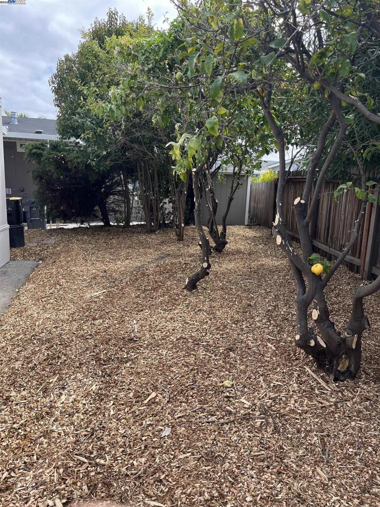 1085 Tasman Sunnyvale, CA 94089 - Photo 20 of 33 a view of a backyard with furniture and a tree