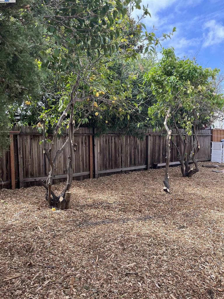 1085 Tasman Sunnyvale, CA 94089 - Photo 21 of 33 a backyard of a house with table and chairs