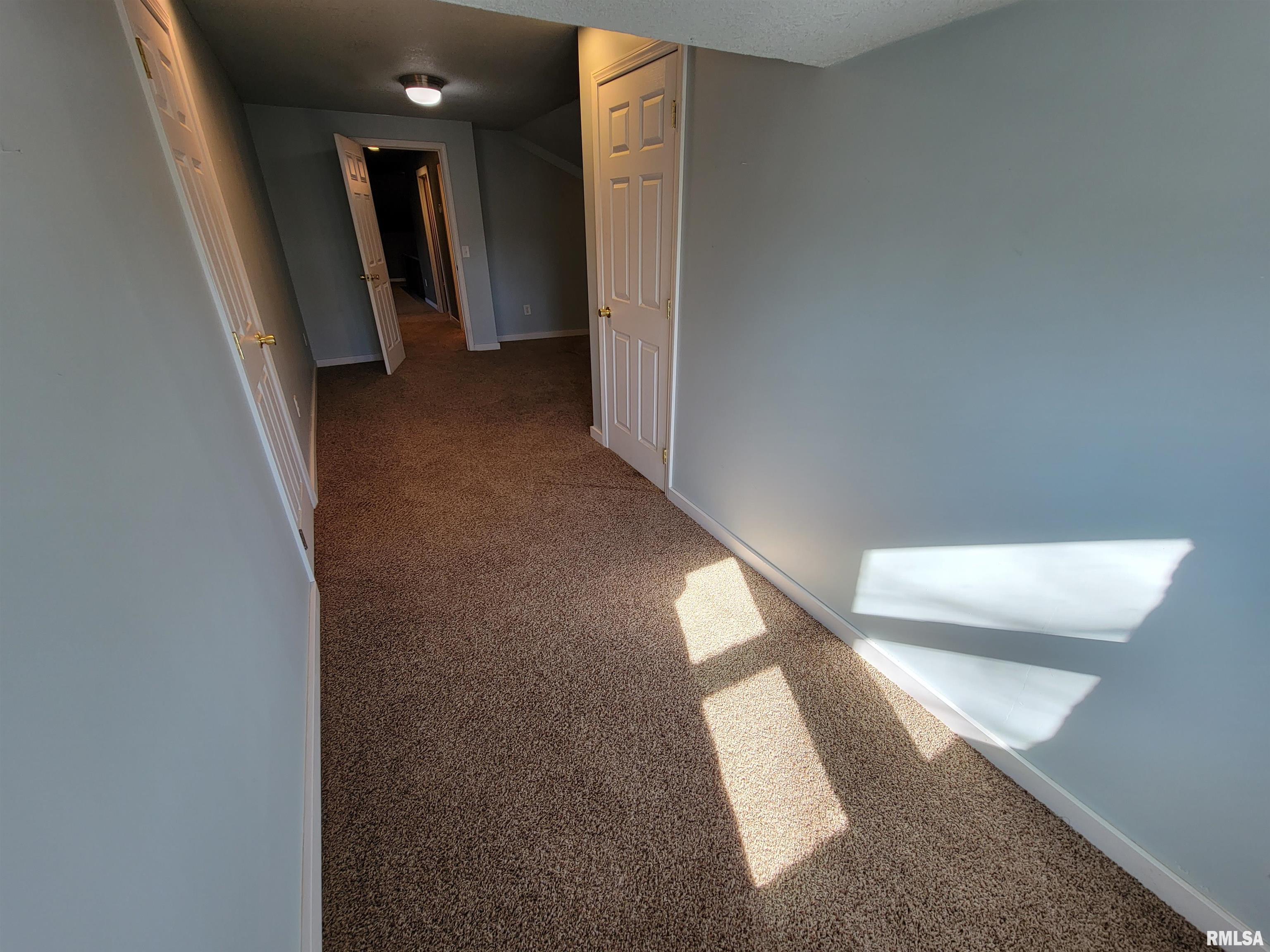 133 East 4th Street Flora, IL 62839 - Photo 60 of 93 Gallery Image 60